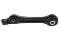 Track Control Arm 211411 ABS
