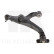 Track Control Arm 5019303 NK