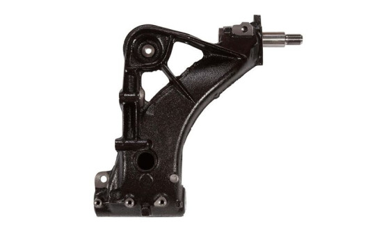 Track Control Arm FI-WP-0947 Moog, Image 2