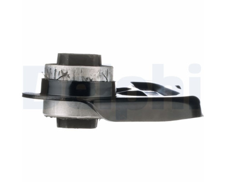 Track Control Arm TC3843 Delphi, Image 6