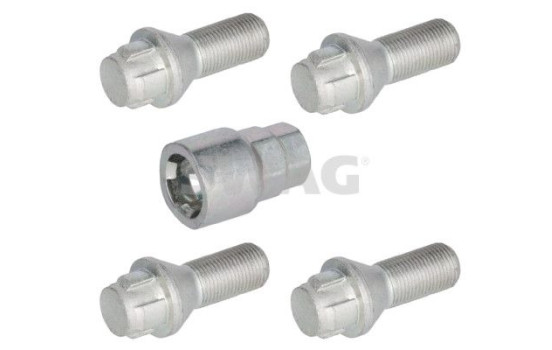 Carriage bolt set