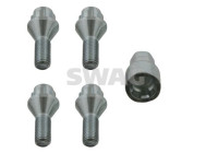 Carriage bolt set