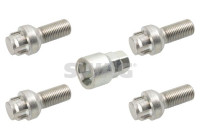 Carriage bolt set