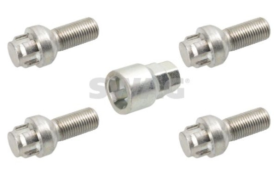 Carriage bolt set
