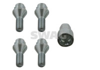 Carriage bolt set