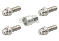 Carriage bolt set