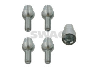 Carriage bolt set