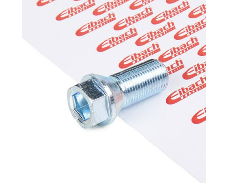 Eibach Wheel Bolts 10 pieces, Image 2