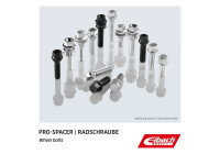Eibach wheel screws 10 pieces