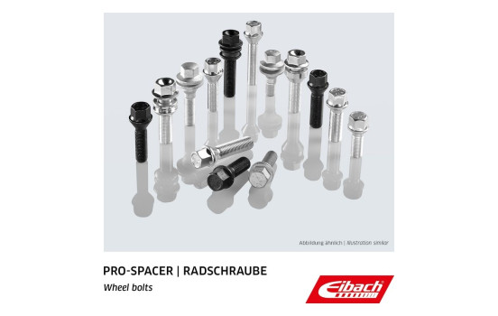 Eibach wheel screws 10 pieces