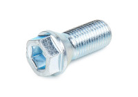 Eibach wheel screws 10 pieces