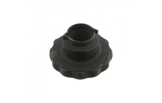 Nut, stub axle 46689 FEBI