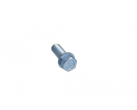 Wheel Bolt