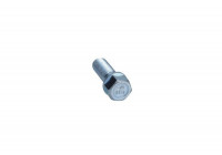Wheel Bolt