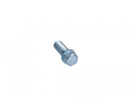 Wheel Bolt