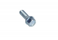 Wheel Bolt