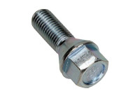 Wheel Bolt