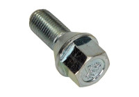 Wheel Bolt