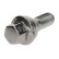 Wheel bolt