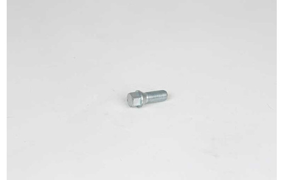 wheel screw