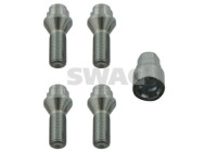 Carriage bolt set