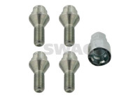 Carriage bolt set