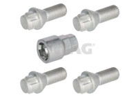 Carriage bolt set