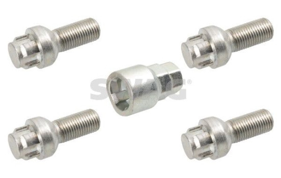 Carriage bolt set
