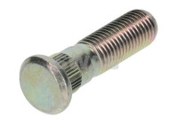 Wheel bolt