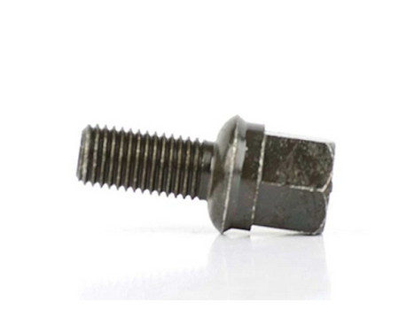 wheel screw