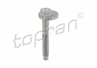 Camber Correction Screw 119 040 Topran