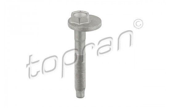 Camber Correction Screw 119 040 Topran
