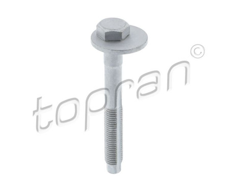 Camber Correction Screw 119 041 Topran