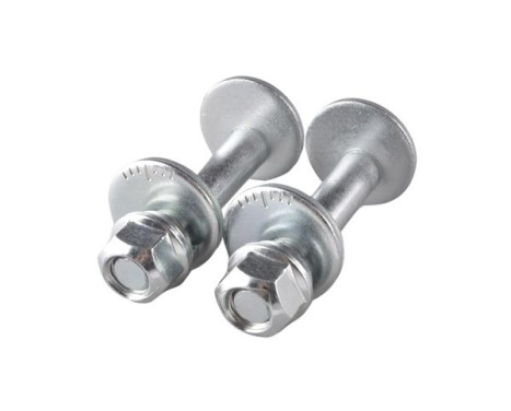 Camber correction screw TED50469 Tedgum