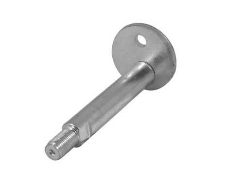 Camber Correction Screw TED98416 Tedgum, Image 3