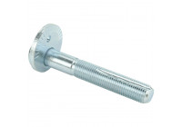 Camber Correction Screw