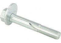 Camber Correction Screw