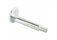 Camber Correction Screw