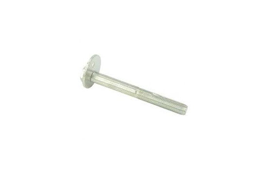 Camber Correction Screw