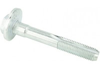Camber Correction Screw