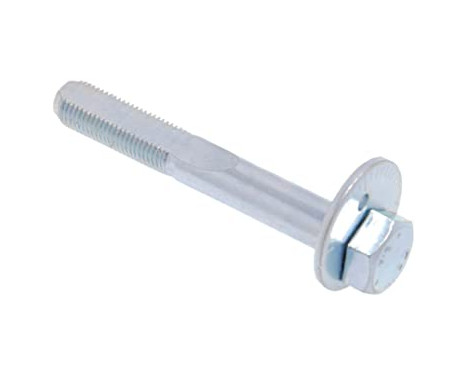 Camber Correction Screw