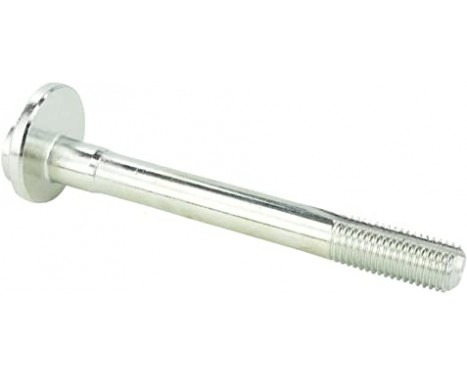 Camber Correction Screw