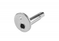 Camber Correction Screw