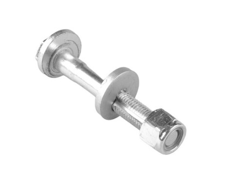 Camber correction screw