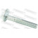Camber Correction Screw