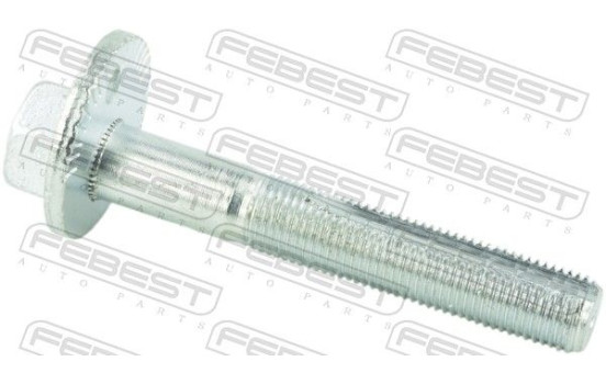Camber Correction Screw