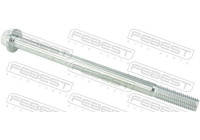 Camber Correction Screw