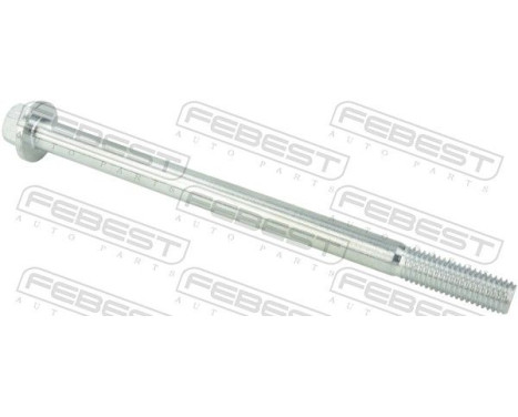 Camber Correction Screw