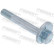 Camber Correction Screw