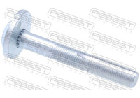 Camber Correction Screw